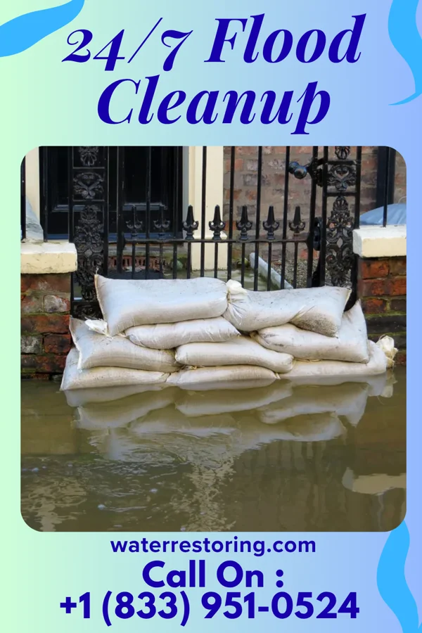 24/7 Flood Cleanup in Loop, PA