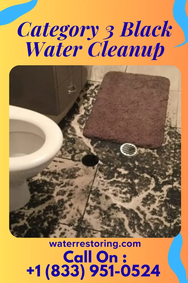 Category 3 Black Water Cleanup in Loop, PA