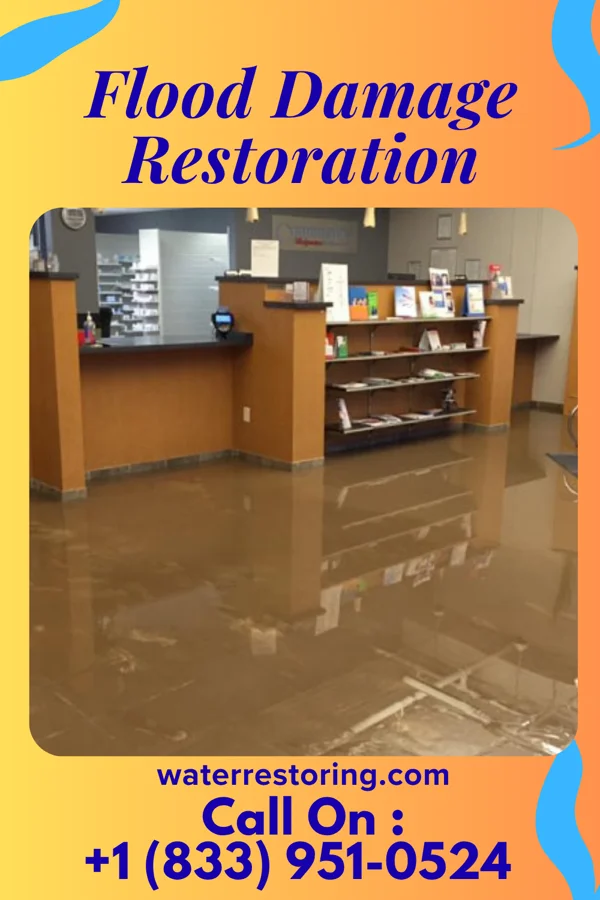 Flood Damage Restoration in Loop, PA