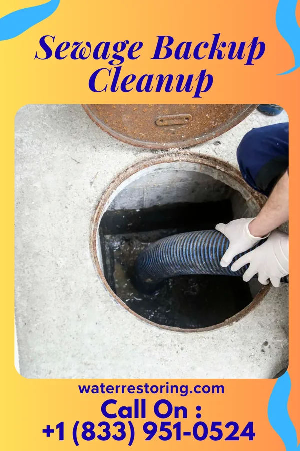 Sewage Backup Cleanup in Loop, PA