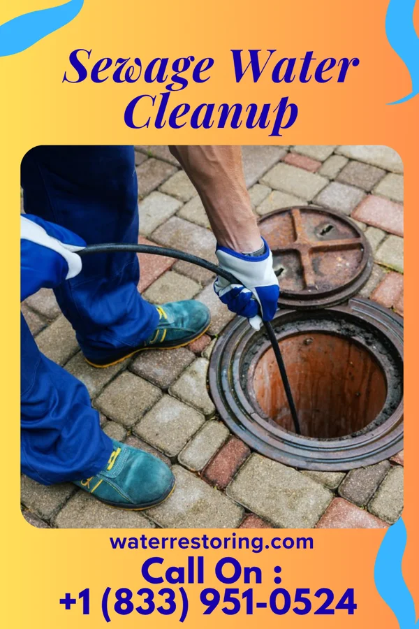 Sewage Water Cleanup in Loop, PA