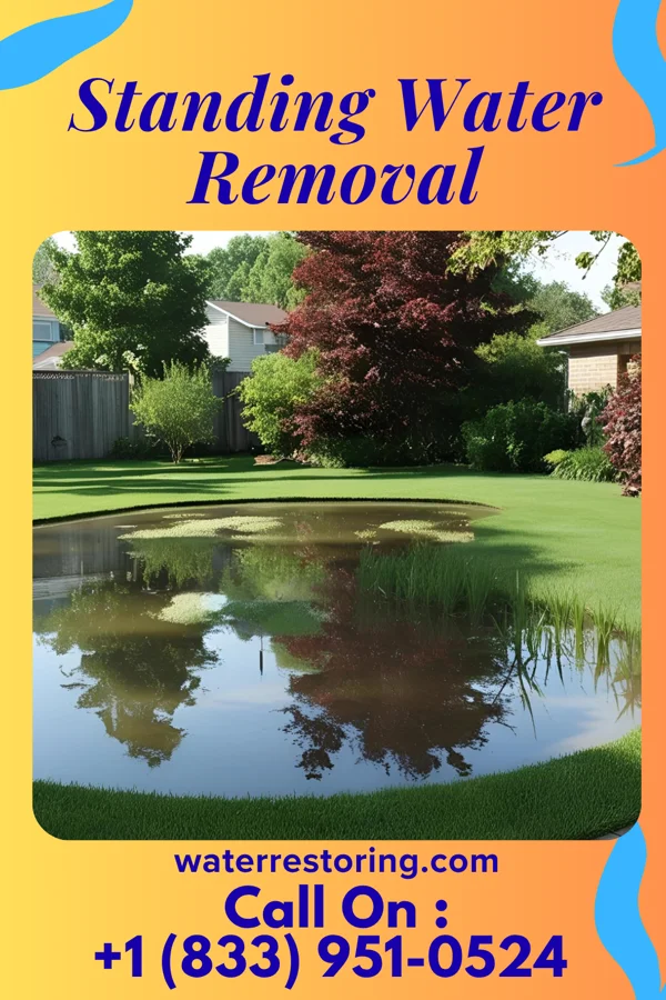 Standing Water Removal in Loop, PA